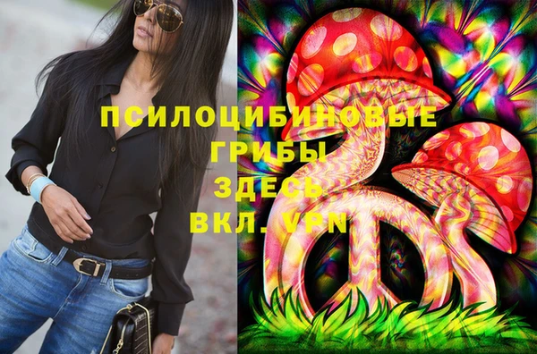 гидра Осташков