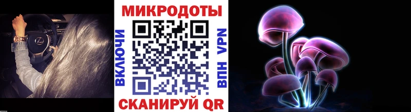 Псилоцибиновые грибы Psilocybine cubensis  kraken tor  Макушино 